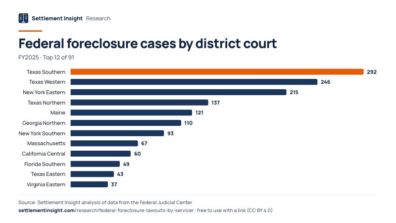 Bar chart: Federal foreclosure cases by district court (FY2025). Texas Southern: 292; Texas Western: 246; New York Eastern: 215. Source: Settlement Insight.